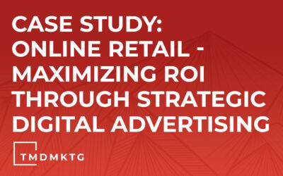 Case Study: Online Retail – Maximizing ROI through Strategic Digital Advertising